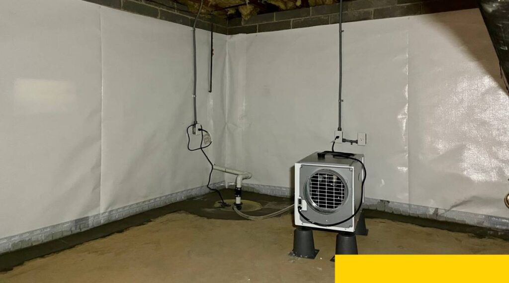 Basement waterproofing and repair services