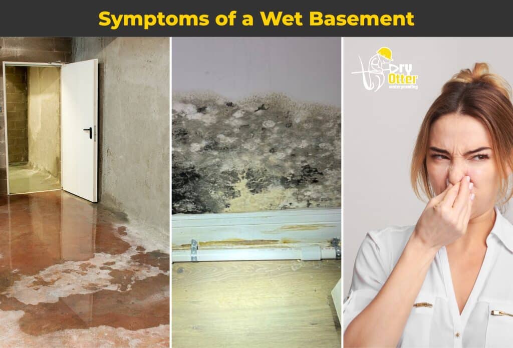 Basement waterproofing system