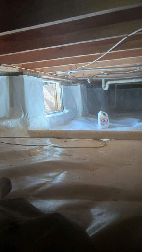 Mold remediation services