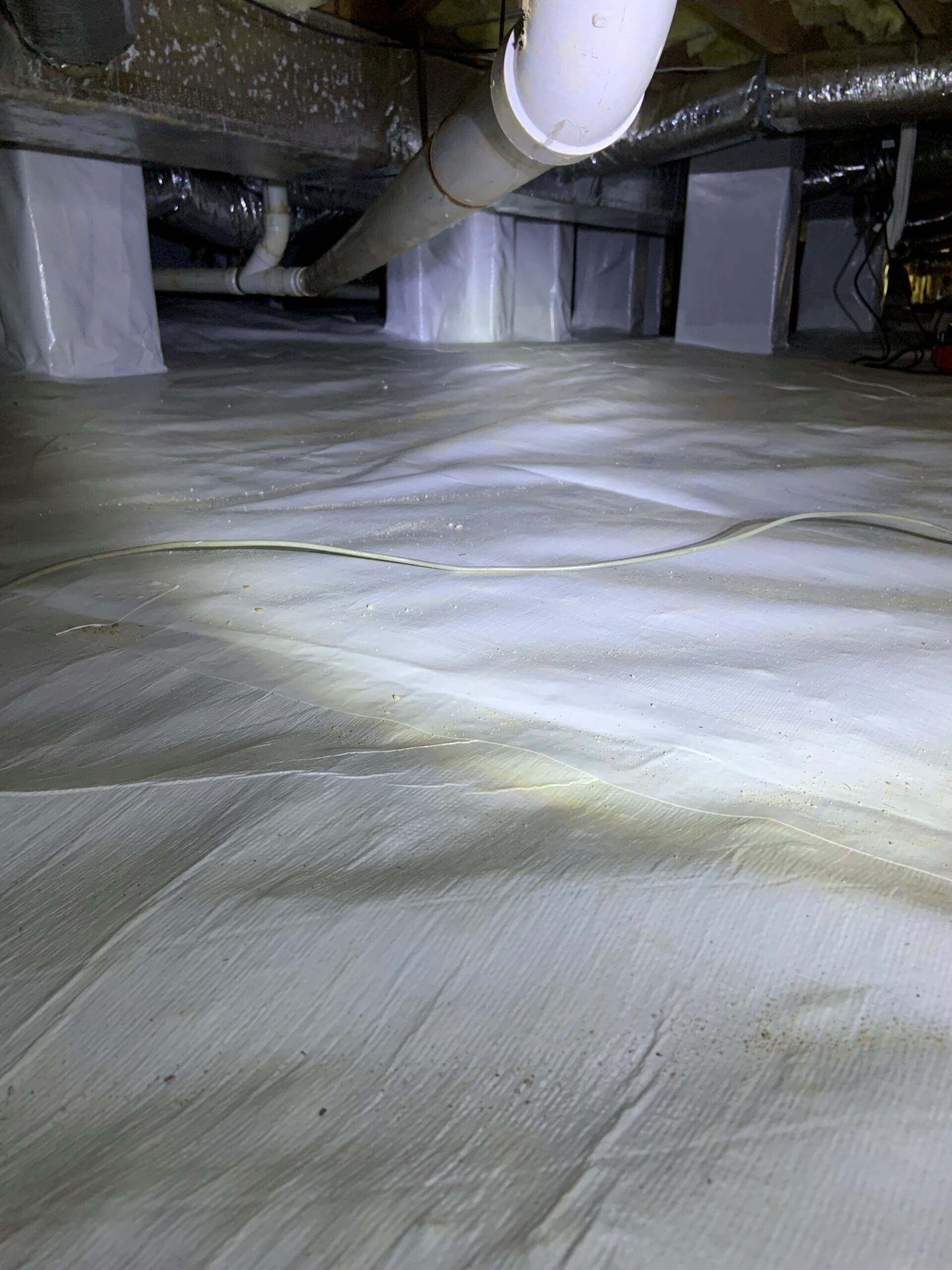Mold remediation case study